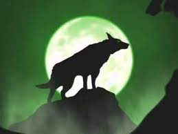 In 2001/02, 2002/03, 2003/04 en 2005/06. Vfl Wolfsburg Youtube