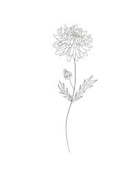 Birth Month Flowers Chrysanthemum November Birth Flower Tattoos Chrysanthemum Tattoo Aster Flower Tattoos