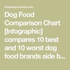Food Infographic Dog Food Comparison Chart Infographic