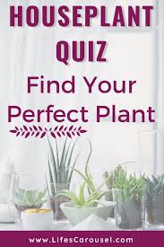You just need a few essential elements for a successful vegetable garden: Garden Plants Quiz Questions