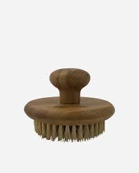 Not sure if you should invest. Bamboo Cactus Firm Body Brush Envirocare Earth
