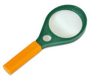 Mit ausreichend exemplaren können sie sogar eine herbarium mappe anfertigen und diese mit einem deckblatt. Herbarium Anlegen Tipps Vorlagen Betzold Blog