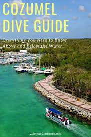 We as a species want—and even need—to tell stories this way. Cozumel Dive Guide Interactive Map Everything You Need To Know Above And Below The Water