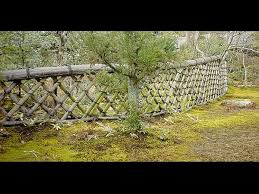 Hanging plants on the fence 13. 7 Plants That Are Good For Fencing Boldsky Com