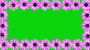 Free hd wedding background, free download motion background, free video hd particles video editing | graphics designing. Wedding Background Video Effects Hd Animation Pink Flower Frame