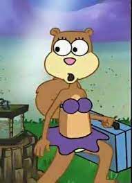 Also, her face is a slightly different shape. Sandy Cheeks Wikifur The Furry Encyclopedia