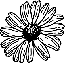 Check spelling or type a new query. Svg Sketch Petals Bloom Gerbera Free Svg Image Icon Svg Silh