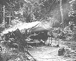 Image result for Eremospatha haullevilleana