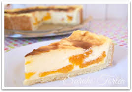 Pudding Schmand Kuchen Mit Mandarinen Kuchen Mit Mandarinen Kuchen Und Torten Kuchen