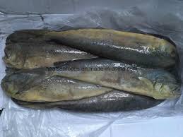 Swimming speed is estimated at 50 knots; Chinese Frozen Mahi Mahi Fish China Mahi Fish Chinese Mahi Mahi