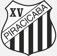 You can download in.ai,.eps,.cdr,.svg,.png formats. Campeonato Brasileiro Serie B Png Images Pngegg