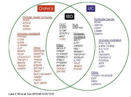 Crohns Disease Associated With Low Vitamin D Unless In