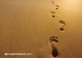 Mengenal Manhaj Salaf | Mujahid Dakwah