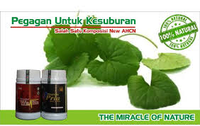 We did not find results for: Klinik Promil Salah Satu Manfaat Komposisi Yg Ada Pada New Ahcn Pegagan Daun Kaki Kuda Daun Antanan Centella Asiatica Merupakan Tanaman Liar Yang Dapat Berfungsi Sebagai Tanaman Obat
