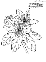 It's ready for you to break out your markers or colored pencils. Magic Coloring Pacific Azaleas Coloring Page 7