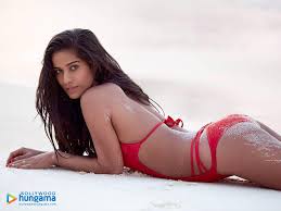 Poonam Pandey Wallpapers | poonam-pandey-126 - Bollywood Hungama
