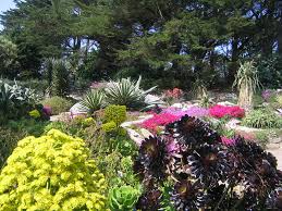 Eghn Georges Delaselle Garden