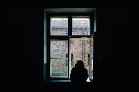 See looking out bus window stock video clips. 500 Looking Out Window Pictures Hd Download Free Images On Unsplash