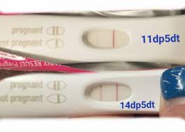 Hpt Was Negative On My Beta Day Almost 40 Hrs Later They Called Said Get Back On Your Meds It S Positive 11dp5dt 14dp5dt First Response Don T Give Up Until You