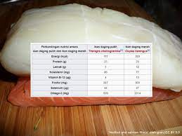Bukankah ikan juga mempunyai darah? Wikipedia Bahasa Indonesia On Twitter Tahukahanda Bahwa Daging Ikan Merah Memiliki Kandungan Vitamin A D E Dan K Yang Lebih Tinggi Dibandingkan Daging Ikan Putih Ikanitusehat Https T Co Ppcsaonuvf Https T Co K6kqybxn9t