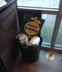 Coffee Grounds In Compost What Are The Benefits Compost Coffee Grounds Compost Soil