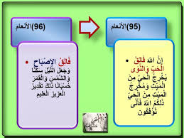 فالق مرتان في القرآن في سورة الأنعام قاعدة نحوية الإسم يدل على الثبوت والفعل يدل على الحدوث والتجدد وهذه الآية تدخل في هذه القاعدة games