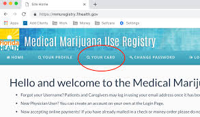 Missouri marijuana card was not only so patient with helping me, they stayed on the phone and answered very detailed questions that i was having about completing my application. Completing The Florida Medical Marijuana Use State Card Application Kristina Risola
