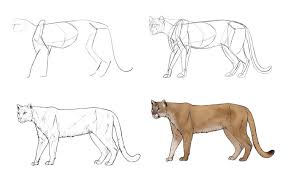 Sketchbook Original How To Draw Big Cats Monika Zagrobelna Animal Drawings Mountain Lion Easy Drawings