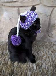 Black Witch Hat For Cat Pet Costume Cat Halloween Costume Etsy Pet Costumes Cat Hat For Cat Hats For Cats