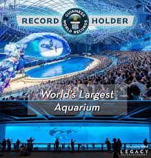 Legacy Entertainment