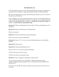 Chapter 10 dihybrid cross worksheet answer key form. The Dihybrid Cross