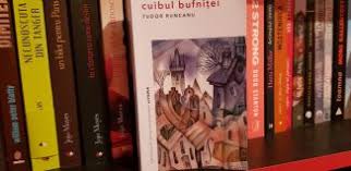 Oare a şi început, oare a şi început pedeapsa, de pe acum? CrimÄ Si PedeapsÄ De F M Dostoievski Recenzie Literaturapetocuri Ro