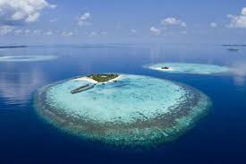 Descubre las aventuras submarinas en este hermoso continente y todas las experiencias únicas que puedes vivir buceando en el océano índico. Oceano Indico Belezas E Curiosidades Meio Ambiente Cultura Mix