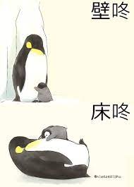 企鵝的壁咚與床咚 anime memes kawaii cute