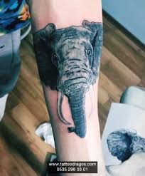 Eğer fil anlamını ve doğasındaki rolünü ilişkilendirirseniz, fil dövmelerini sevmeniz için iyi bir şans vardır. Fil Dovmesi 8821 Tattoo Dragos
