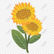 Memakai lambang bunga matahari mengisyaratkan ada hidup yang ceria, penuh kehangatan dibarengi ketulusan serta. Ilustrasi Hangat Bunga Matahari Yang Ditarik Tangan Png Grafik Gambar Unduh Gratis Lovepik
