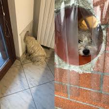 It's cold outside (it's cold outside) i'm hidin' out and smokin' herb 'cause my boss is gettin' on my motherfuckin' nerves but i got to take it 'cause it's cold outside (it's cold outside). When Inside Is Too Hot But Outside Is Too Cold Aww