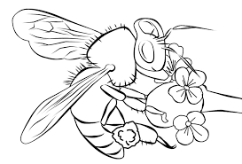 Orchid bees come in an amazing array of shapes and colors. Honey Bee Coloring Pages In Flower Coloring4free Coloring4free Com