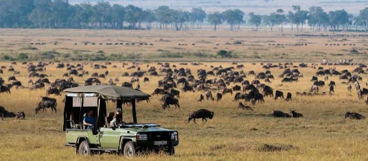 Olare Motorogi Conservancy
