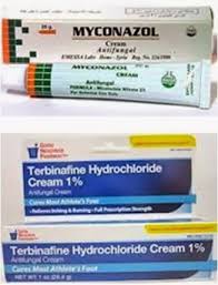 Herba ini berfungsi mencuci darah. Blog Buangkurap