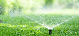 How should i water my lawn? Watering Your New Lawn Royce Turf
