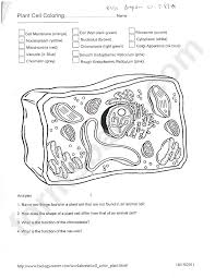 Plant Cell Coloring Worksheet Printable Pdf Download