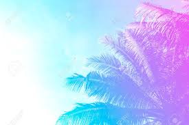 Coco Palm Tree On Sky Background Gentle Pink And Blue Toned Stock Photo Picture And Royalty Free Image Image 80175789 600 x 900 jpeg 62 кб.
