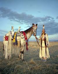 Erika Larsen In Search Of A Horse Native American Horses Native American Indians Native America