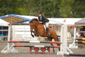 Canadian Pony Club Education