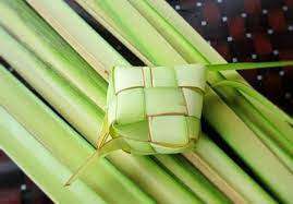 Cik cinderella & encik tengku raya l telefilem. Jual Daun Ketupat Atau Daun Kelapa Muda Shopee Indonesia
