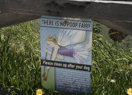 When a dog poops on the carpet it can cause significant damage to the carpet. Tips To Discourage Dogs From Pooping Peeing On Your Lawn