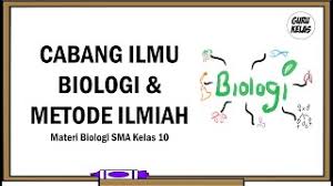 Metode ilmiah menemukan gejala biologi merumuskan masalah mengumpulkan data/keterangan menyusun hipotesis merancang percobaan/ penelitian melakukan percobaan mencatat data hasil percabaan menganalisis data menarik kesimpulan bekerja dengan metode ilmiah menemukan gejala biologi misalnya: Cabang Ilmu Biologi Dan Metode Ilmiah Pelajaran Biologi Sma Kelas 10 Semester 1 Youtube