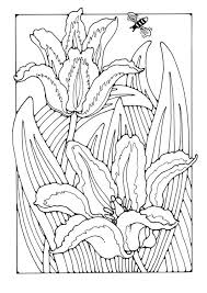 Coloring Page Tullips Img 27749 Coloring Pages Colouring Art Therapy Cool Coloring Pages