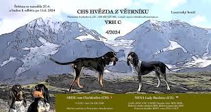 Image result for jurský honič